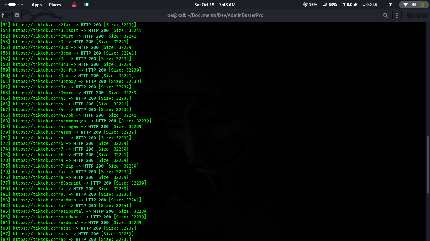 AdminBusterPro in Action